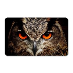 Owl s Scowl Magnet (rectangular) by WensdaiAmbrose