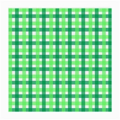 Sweet Pea Green Gingham Medium Glasses Cloth