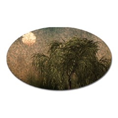 Willow At Sunset Oval Magnet by LoolyElzayat