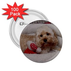 Cockapoo In Dog s Bed 2 25  Buttons (100 Pack)  by pauchesstore