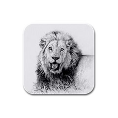 Lion Wildlife Art And Illustration Pencil Rubber Square Coaster (4 Pack)  by Sudhe