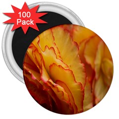 Flowers Leaves Leaf Floral Summer 3  Magnets (100 Pack) by Sudhe