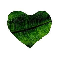 Green Leaf Plant Freshness Color Standard 16  Premium Flano Heart Shape Cushions by Pakrebo