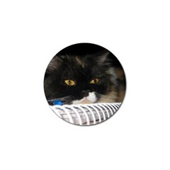 Cat Wanna Study Golf Ball Marker (10 Pack) by LoolyElzayat