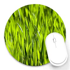 Agricultural Field   Round Mousepads by rsooll