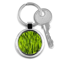 Agricultural Field   Key Chains (round)  by rsooll