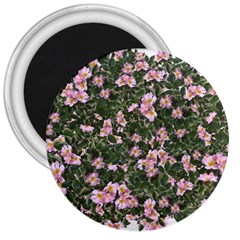 Pink Flowers Leaves Spring Garden 3  Magnets by Pakrebo