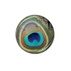 Peacock Feather Close Up Macro Hat Clip Ball Marker (10 Pack) by Pakrebo