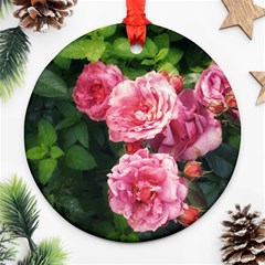 Summer Roses Ornament (round) by okhismakingart