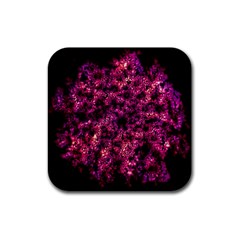 Queen Annes Lace In Red Rubber Coaster (square)  by okhismakingart