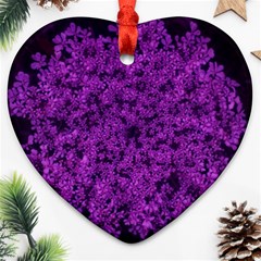 Queen Annes Lace In Purple Heart Ornament (two Sides) by okhismakingart