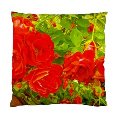 Red Roses Standard Cushion Case (one Side) by okhismakingart