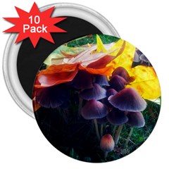 Mushrooms 3  Magnets (10 Pack)  by okhismakingart