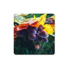 Mushrooms Square Magnet by okhismakingart