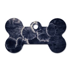 Tree Fungus Ii Dog Tag Bone (one Side) by okhismakingart