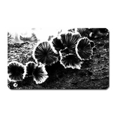 Tree Fungus High Contrast Magnet (rectangular) by okhismakingart