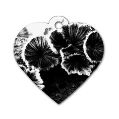 Tree Fungus High Contrast Dog Tag Heart (two Sides) by okhismakingart