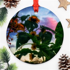 Sunflowers And Wild Weeds Ornament (round) by okhismakingart