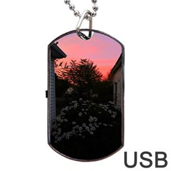 Daisies And Pink Dog Tag Usb Flash (two Sides) by okhismakingart