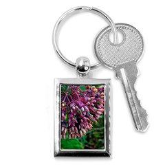 Milkweed Key Chains (rectangle)  by okhismakingart