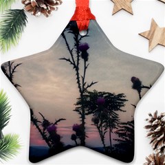 Hazy Thistles Ornament (star) by okhismakingart