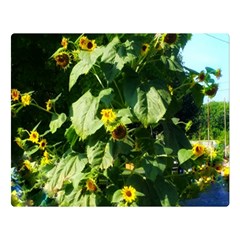 Big Sunflowers Double Sided Flano Blanket (large)  by okhismakingart