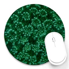 Green Queen Anne s Lace (up Close) Round Mousepads by okhismakingart