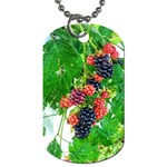 Blackberries Dog Tag (Two Sides) Back