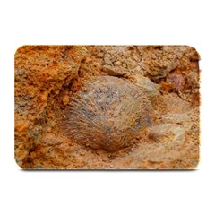 Shell Fossil Ii Plate Mats by okhismakingart