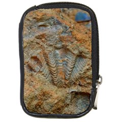 Shell Fossil Compact Camera Leather Case by okhismakingart