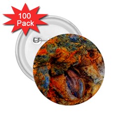 Rainbow Fossil 2 25  Buttons (100 Pack)  by okhismakingart