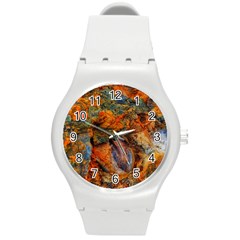 Rainbow Fossil Round Plastic Sport Watch (m) by okhismakingart