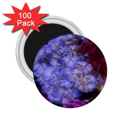 Hydrangea Arrangement Ii (blue Tint) 2 25  Magnets (100 Pack)  by okhismakingart