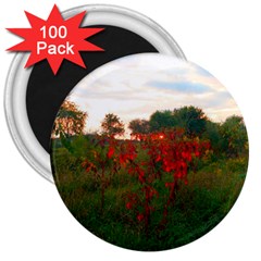 Red Weeds 3  Magnets (100 Pack) by okhismakingart