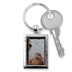 Framed Ducks Key Chains (rectangle)  by okhismakingart