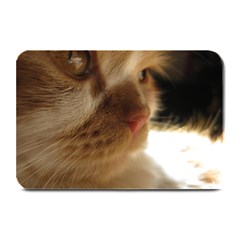 Cute Cat Face Plate Mats by LoolyElzayat