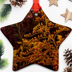 Goldenrod Version Ii Star Ornament (two Sides) by okhismakingart