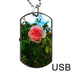 Complex Pink Rose Dog Tag Usb Flash (one Side) by okhismakingart