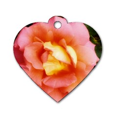 Light Orange And Pink Rose Dog Tag Heart (two Sides) by okhismakingart