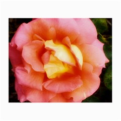 Light Orange And Pink Rose Small Glasses Cloth (2-side) by okhismakingart