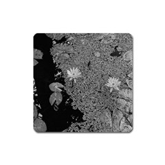 Black And White Lily Pond Square Magnet by okhismakingart