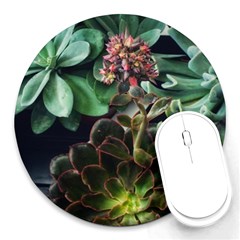 Succulents Round Mousepads by okhismakingart