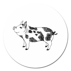 Pig Smiling Head Up Hand Drawn With Funny Cow Spots Black And White Magnet 5  (round) by genx