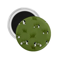 Sheep Lambs 2 25  Magnets by HermanTelo