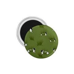 Sheep Lambs 1 75  Magnets by HermanTelo