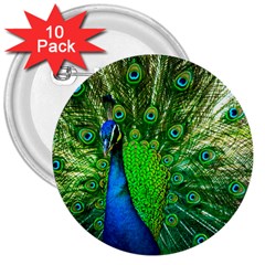 Peacock Peafowl Pattern Plumage 3  Buttons (10 Pack) 