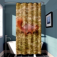 Squirrel Shower Curtain 36  X 72  (stall)  by Riverwoman