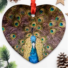 Bird Peacock Feather Heart Ornament (two Sides)