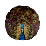 Bird Peacock Feather Standard 15  Premium Round Cushions Back