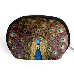 Bird Peacock Feather Accessory Pouch (medium)